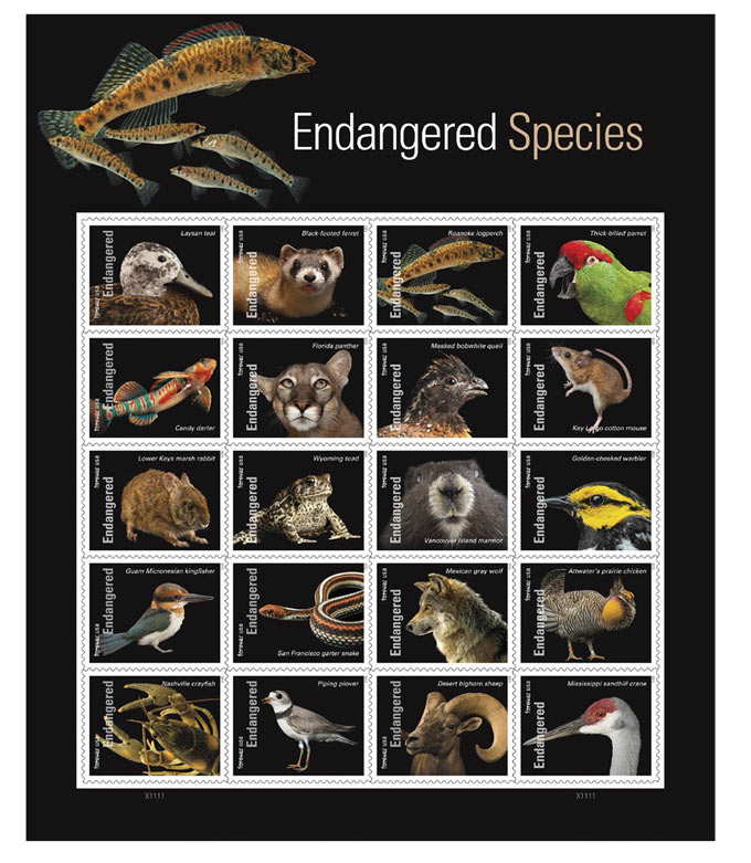 postal service spotlights endangered species 1