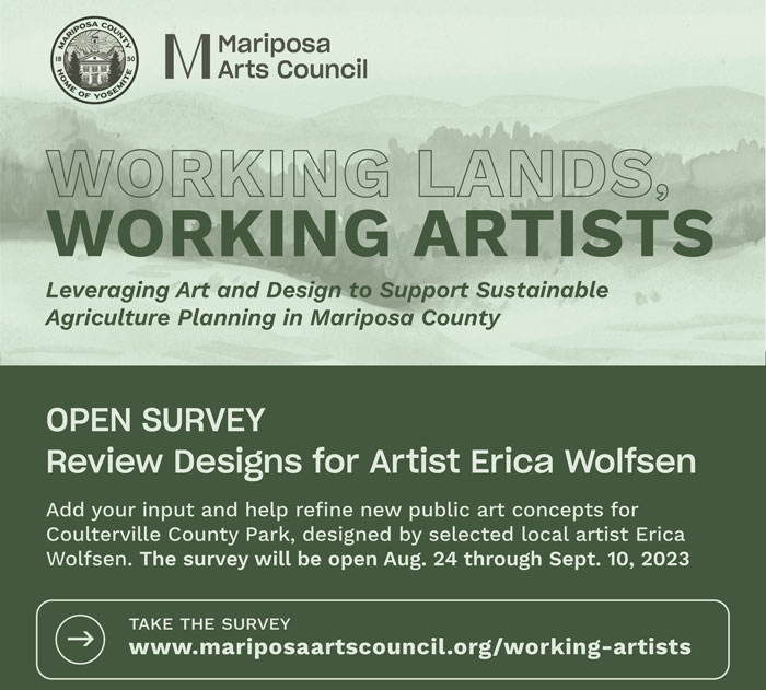 MAC Wolfsen Survey Post