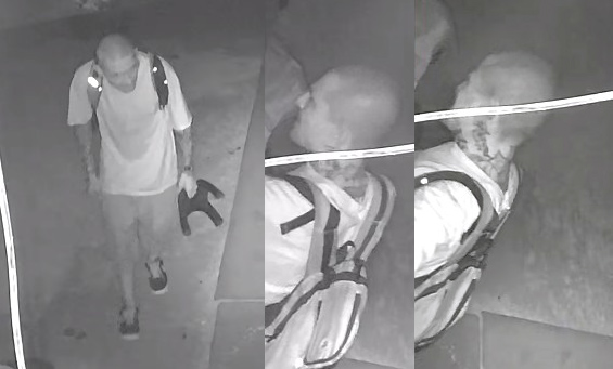 MPD theft