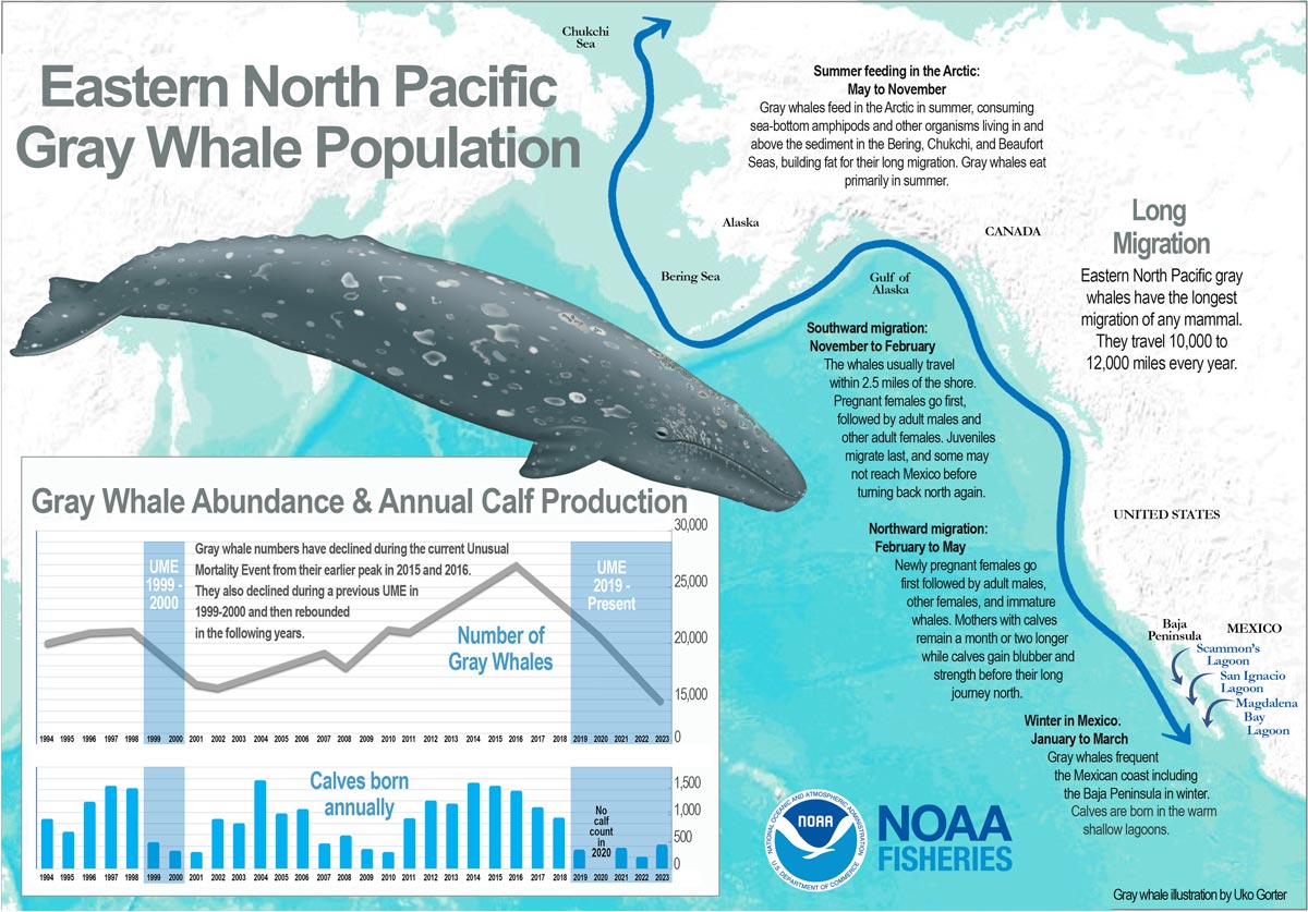 NOAA827 7.26