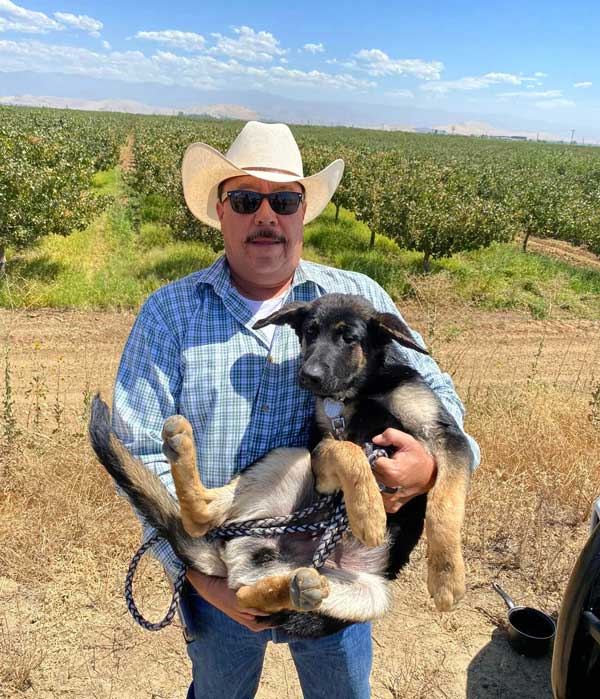 TCSO dog 1