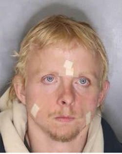 CAL FIRE Wanted HANEY 250