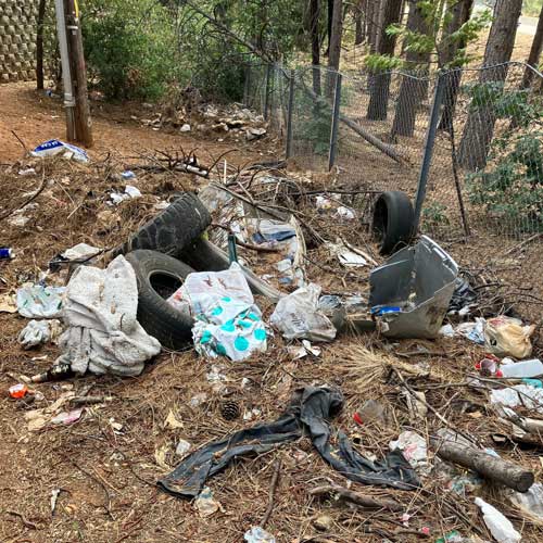 EDSO homeless 1