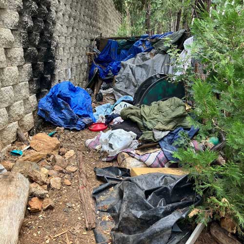 EDSO homeless 2