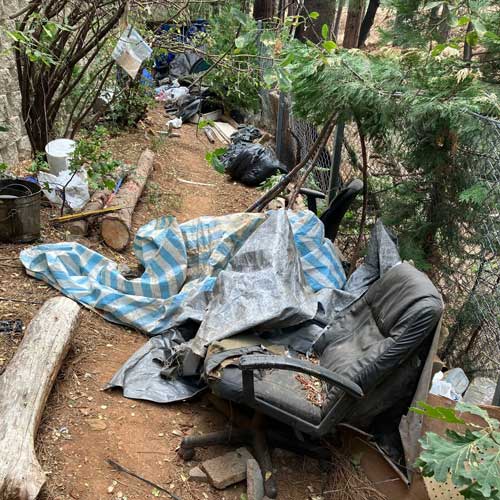 EDSO homeless 3