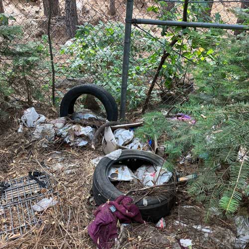 EDSO homeless 4