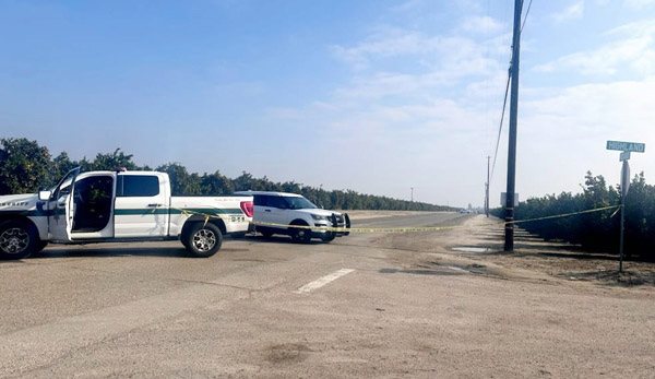 FCSO murder