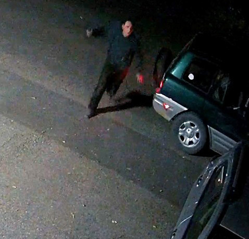 TCSO Vandalism 3