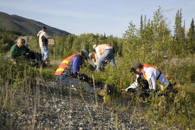 blm1229 program natural resources weedsak.1