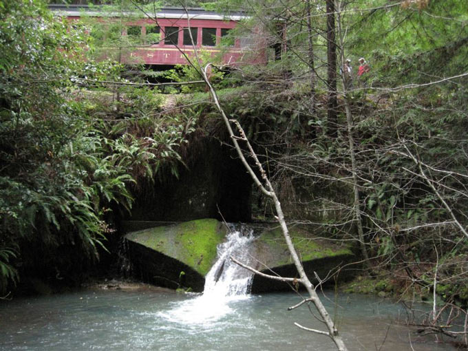 cdfw1213 Duffy Gulch fish passage