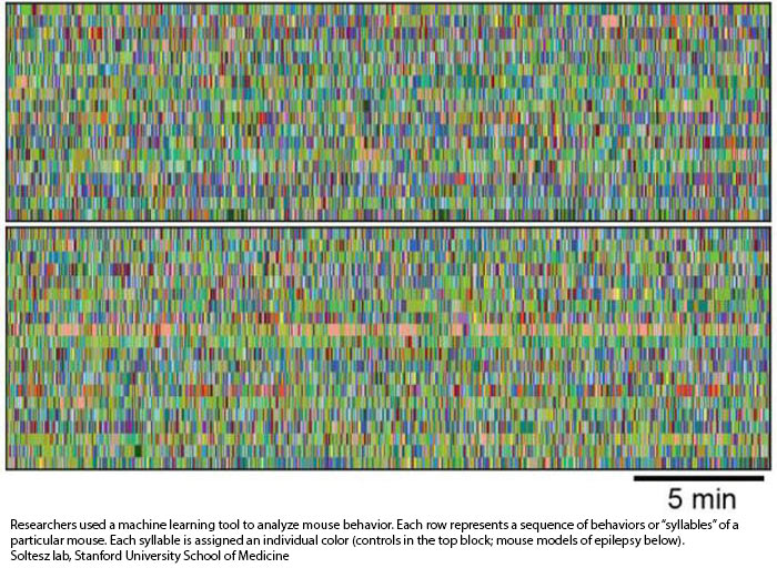 NIH 20230224 syllable sequence