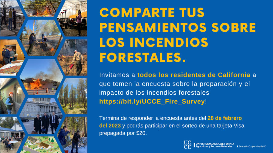 UCCE NeedsAssessment 2