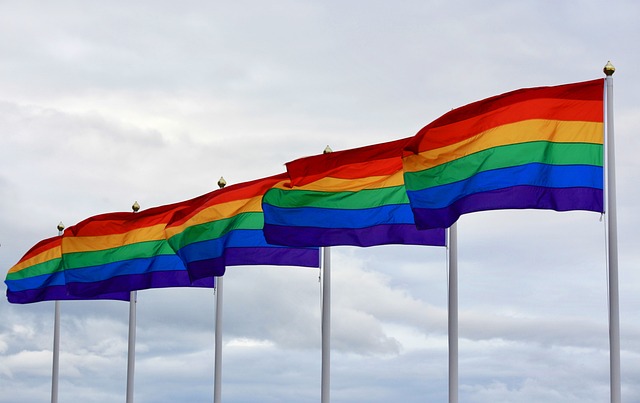 pride flag g03212ab8e 640