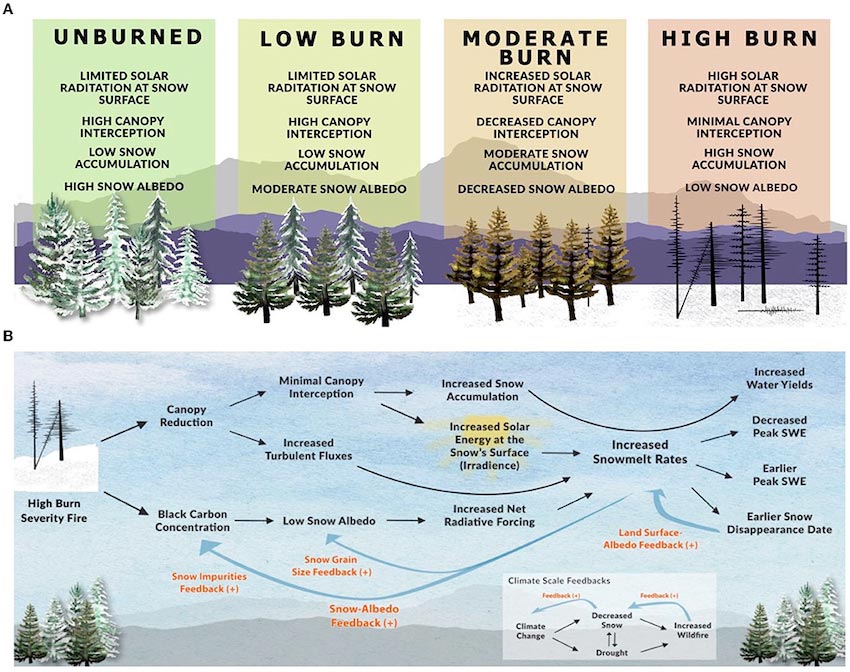 wildfires impacting western snowpack figure2