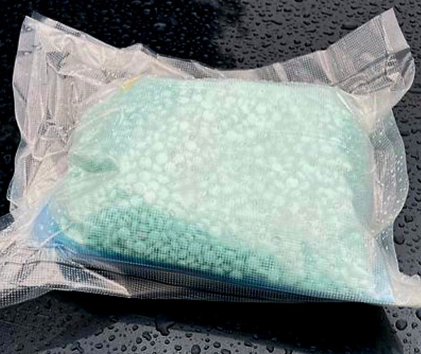 FCSO Reyes Gomez drugs