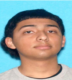 FPD theft Hernandez