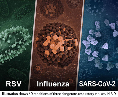 NIH 20230111 virus