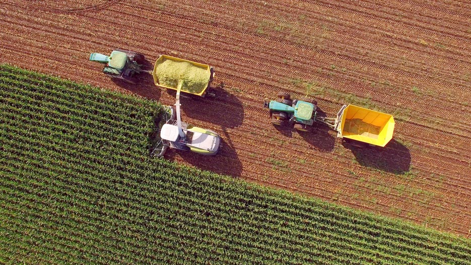 aerialfield featured