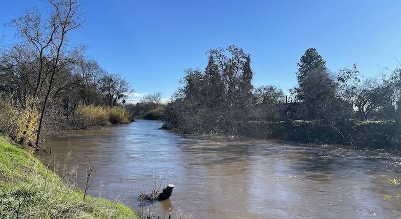 bear creek flooding 2