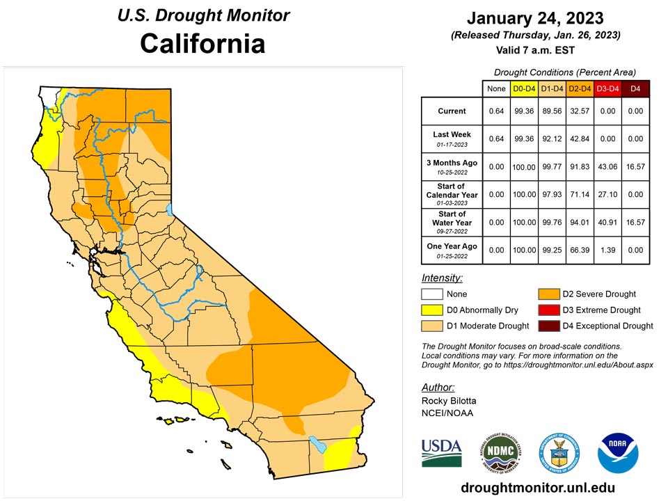 ca20230124 ca trd
