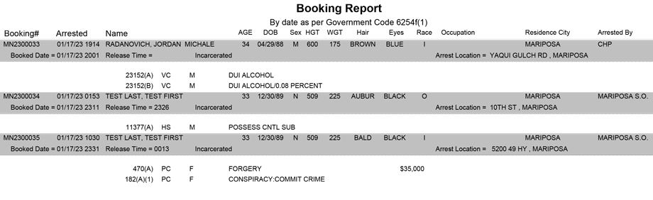 mariposa county booking report for january 17 2023