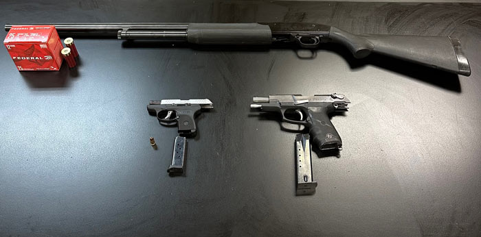 CCSO guns