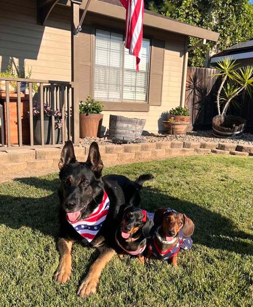 MPD K9