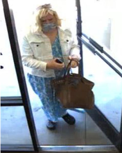 MPD theft 1