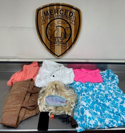 MPD theft 3