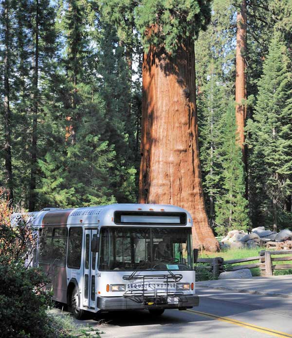 NPS bus