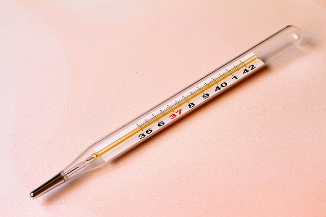 thermometer g61497a974 640 mercury