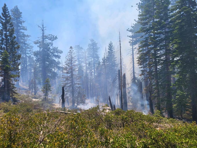 yosemite pika fire july 11 2023