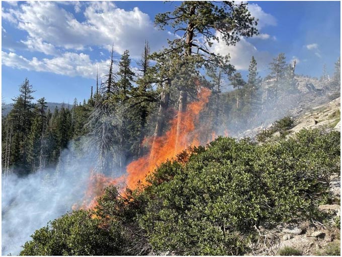 yosemite pika fire july 2023