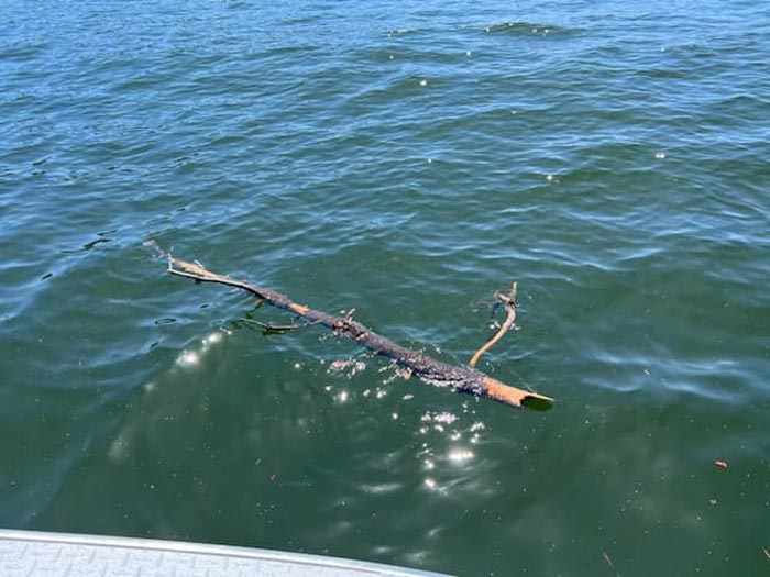 FCSO Debris 2