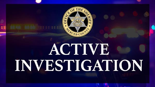 MCSO active invest