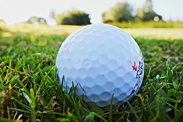 golf ball gb20be4431 640