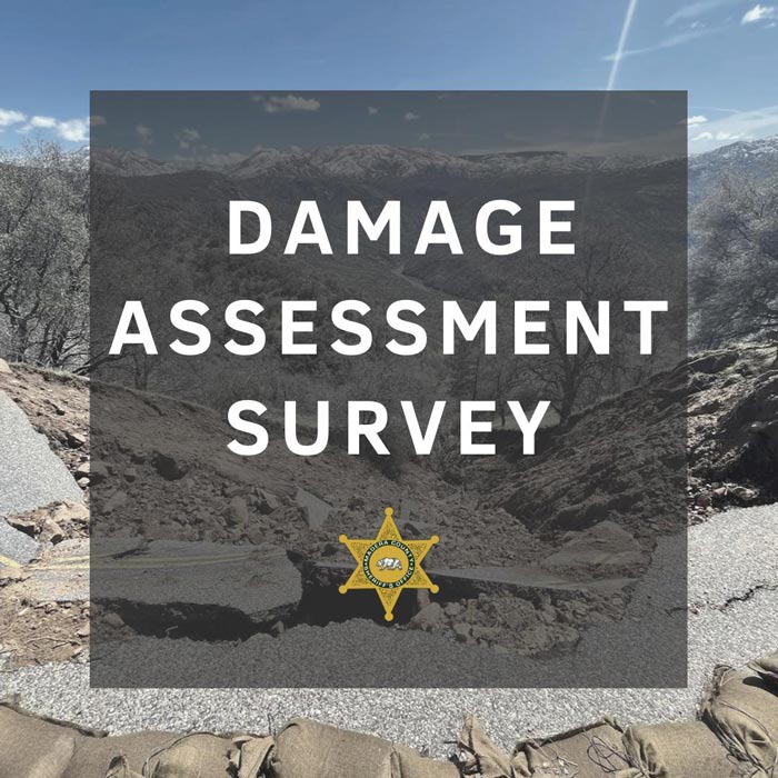 3 14 MC assessment