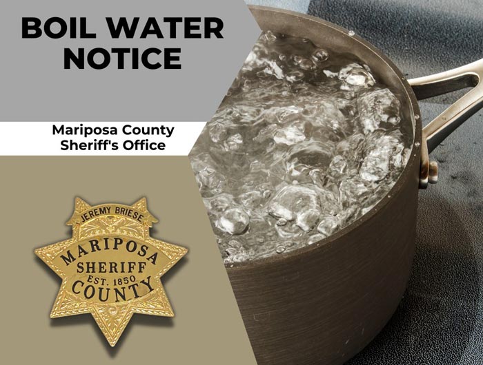 3 15 MC boil water