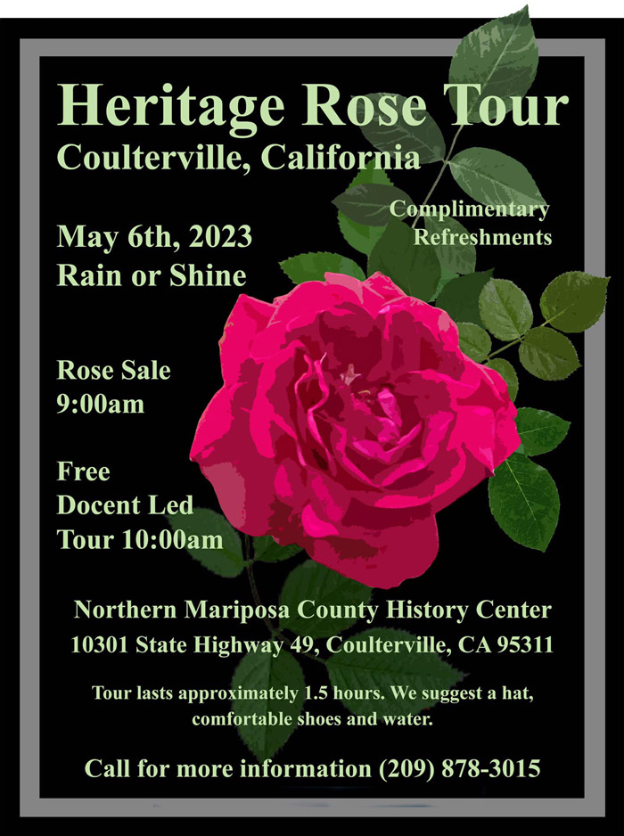 5 6 23 rose tour
