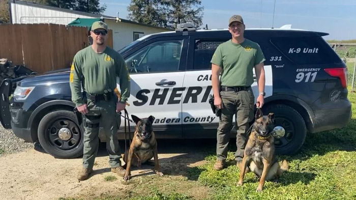 MCSO K9