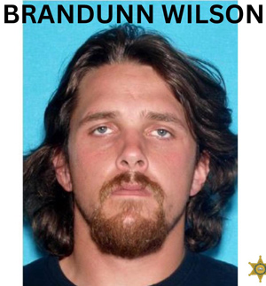 MCSO Wilson