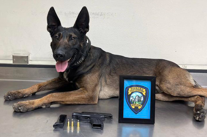 MPD firearm