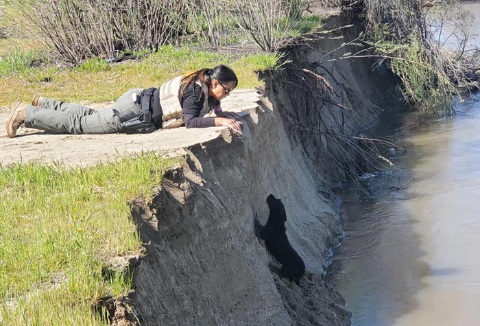 TCSO dog rescue