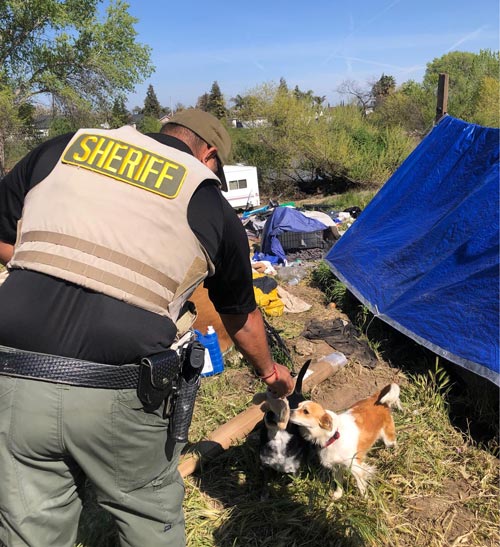 TCSO dog rescue 4