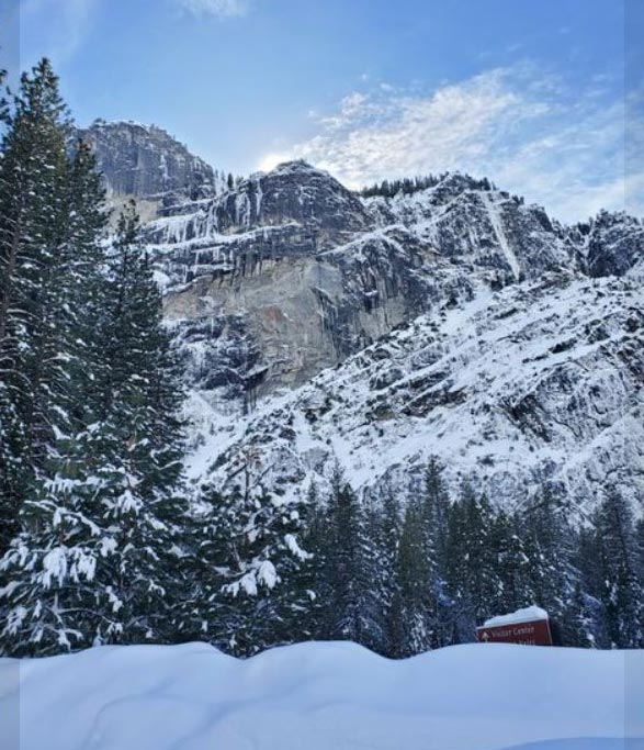 YNP 1