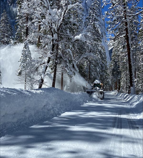 YNP 4