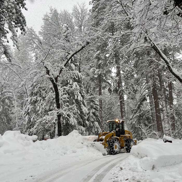 YNP snow