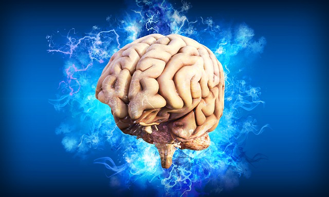 brain g8013c31de 640