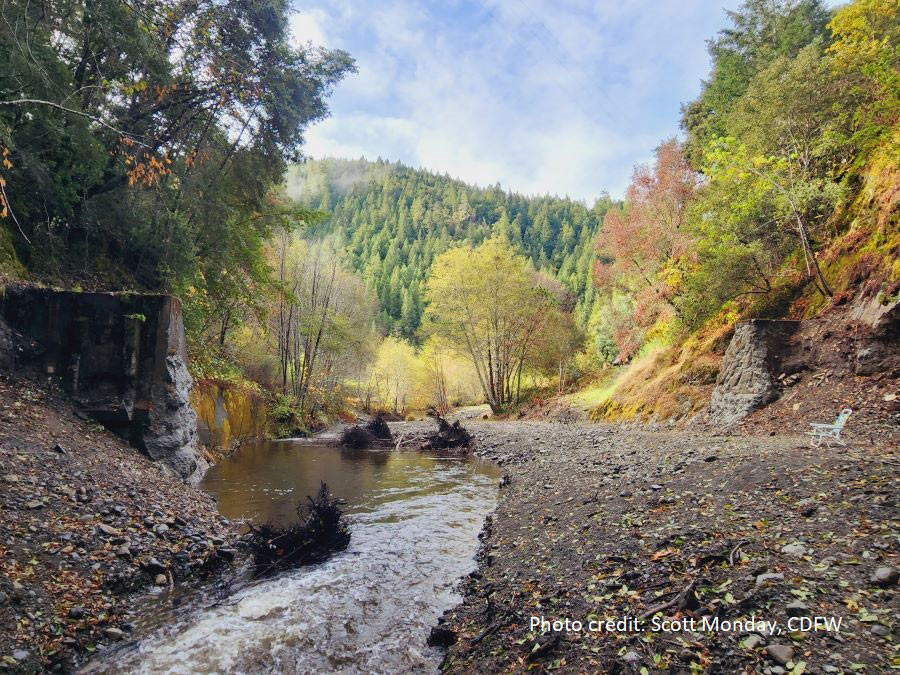 cdfw38 2303grantsCedarCreek