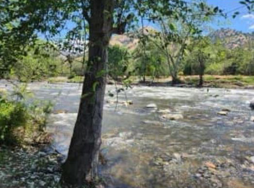TCSO Tule River 4